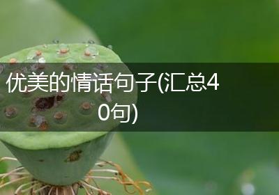 优美的情话句子(汇总40句)