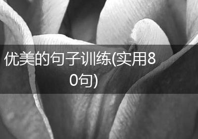 优美的句子训练(实用80句)