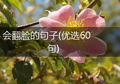 会翻脸的句子(优选60句)