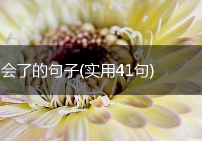 会了的句子(实用41句)