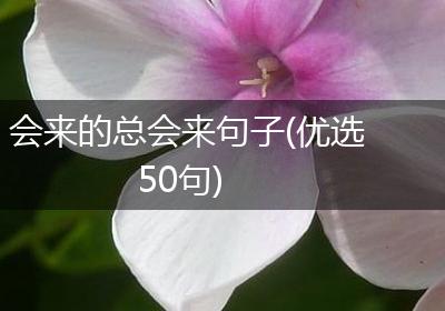 会来的总会来句子(优选50句)