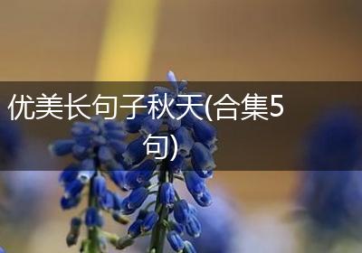 优美长句子秋天(合集5句)