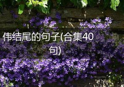 伟结尾的句子(合集40句)