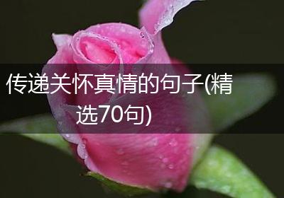 传递关怀真情的句子(精选70句)