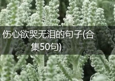 伤心欲哭无泪的句子(合集50句)