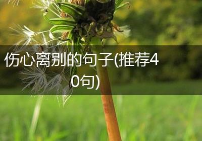 伤心离别的句子(推荐40句)