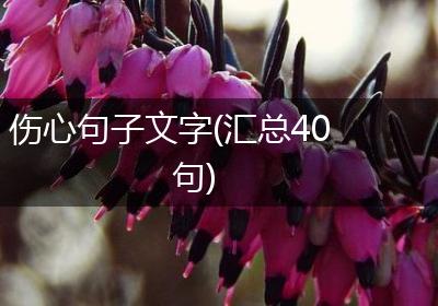 伤心句子文字(汇总40句)