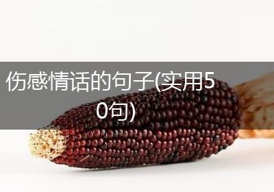 伤感情话的句子(实用50句)