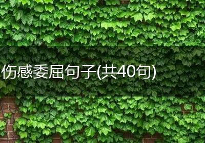 伤感委屈句子(共40句)