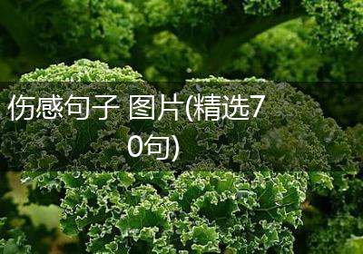 伤感句子 图片(精选70句)