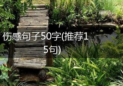 伤感句子50字(推荐15句)
