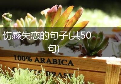 伤感失恋的句子(共50句)
