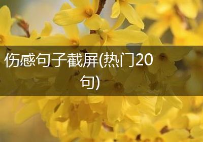 伤感句子截屏(热门20句)