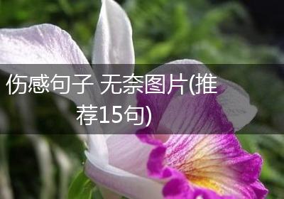 伤感句子 无奈图片(推荐15句)