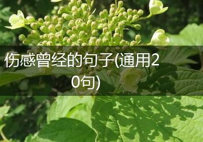 伤感曾经的句子(通用20句)