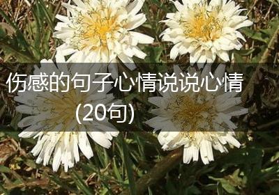 伤感的句子心情说说心情(20句)