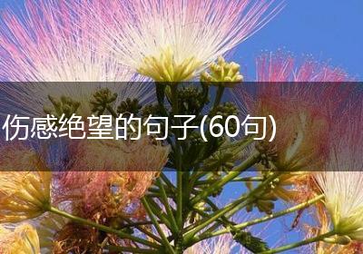 伤感绝望的句子(60句)