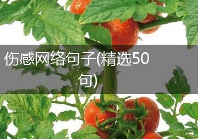 伤感网络句子(精选50句)