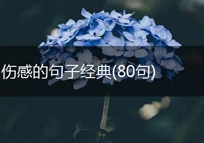 伤感的句子经典(80句)