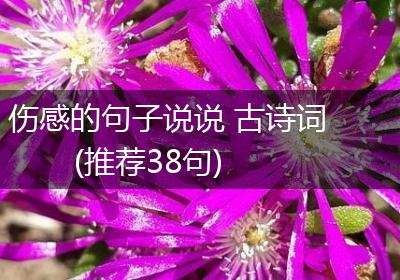 伤感的句子说说 古诗词(推荐38句)