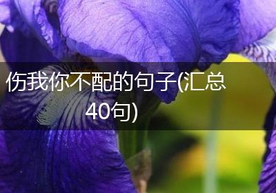 伤我你不配的句子(汇总40句)