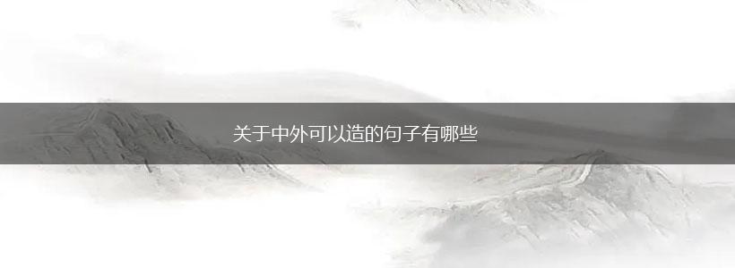 关于中外可以造的句子有哪些,第1张