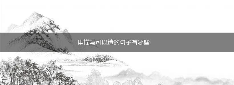 用描写可以造的句子有哪些,第1张