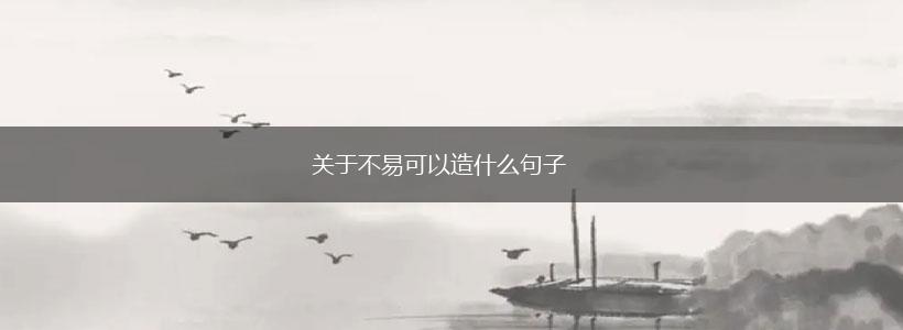 关于不易可以造什么句子,第1张