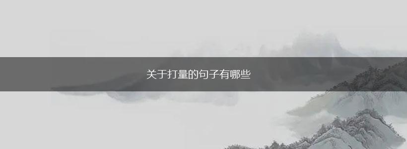 关于打量的句子有哪些,第1张