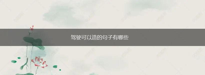 驾驶可以造的句子有哪些,第1张