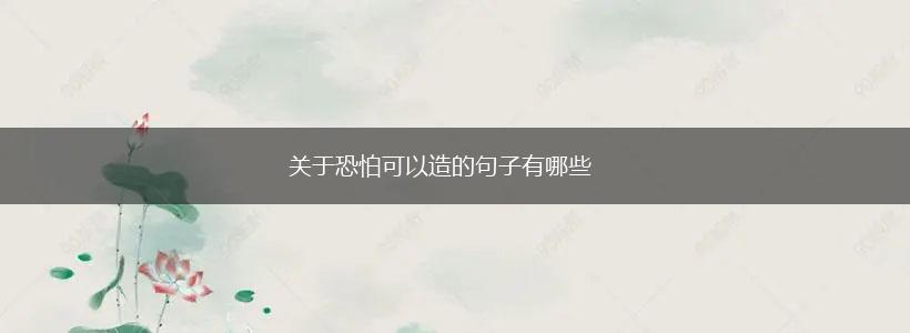 关于恐怕可以造的句子有哪些,第1张