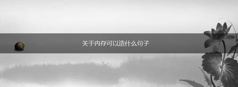 关于内存可以造什么句子,第1张