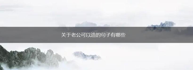关于老公可以造的句子有哪些,第1张