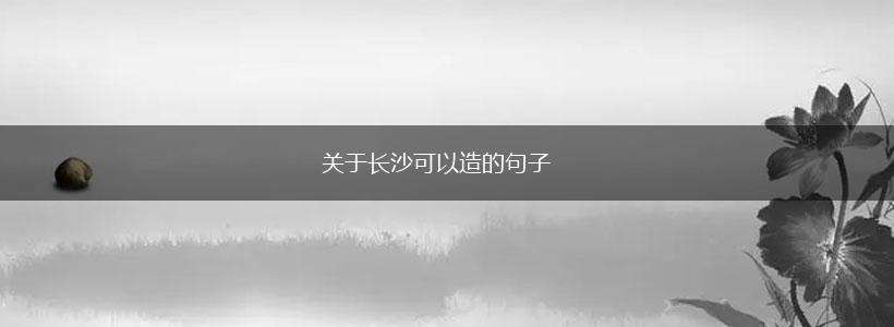 关于长沙可以造的句子,第1张