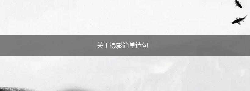 关于摄影简单造句,第1张