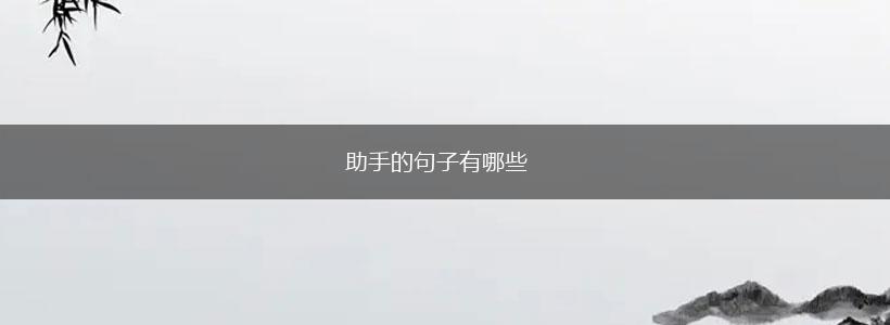 助手的句子有哪些,第1张