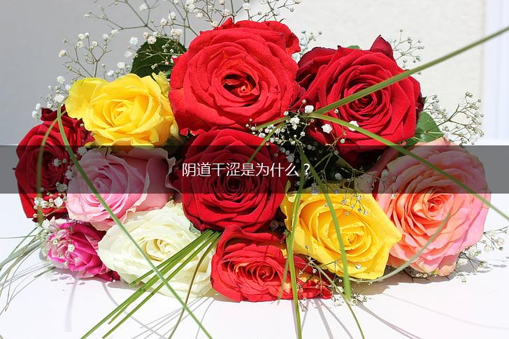阴道干涩为什么？,第1张