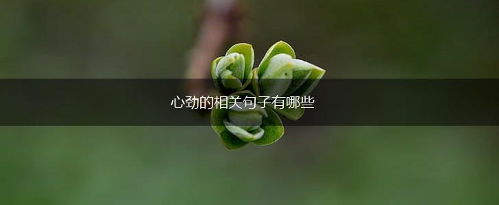 心劲的相关句子有哪些,第1张
