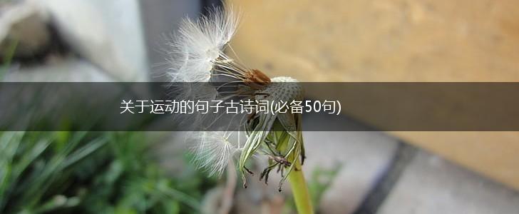 关于运动的句子古诗词(必备50句),第1张
