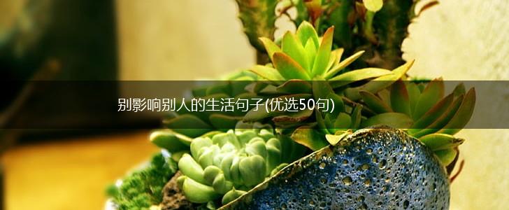 别影响别人的生活句子(优选50句),第1张