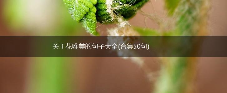 关于花唯美的句子大全(合集50句),第1张