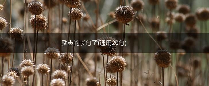 励志的长句子(通用20句),第1张