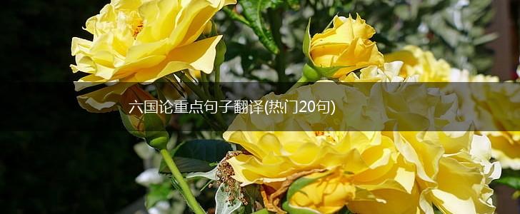 六国论重点句子翻译(热门20句),第1张