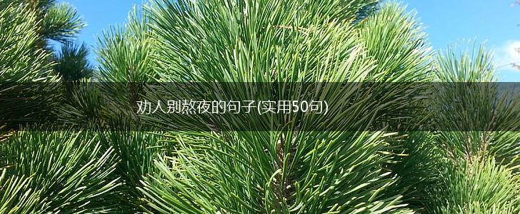 劝人别熬夜的句子(实用50句),第1张