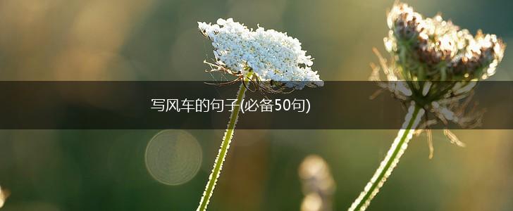 写风车的句子(必备50句),第1张