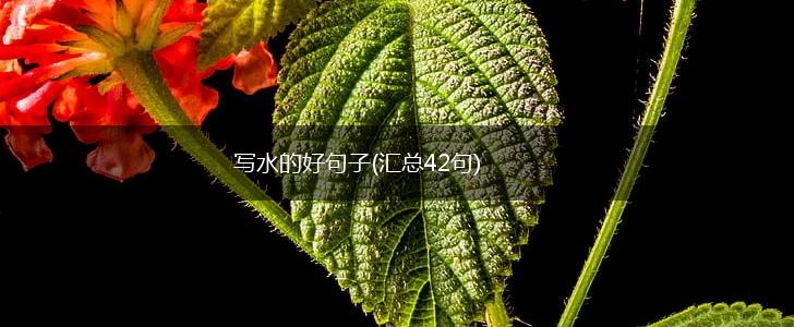 写水的好句子(汇总42句),第1张