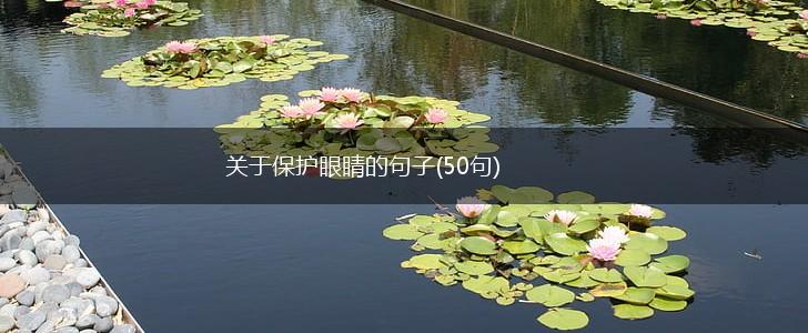 关于保护眼睛的句子(50句),第1张