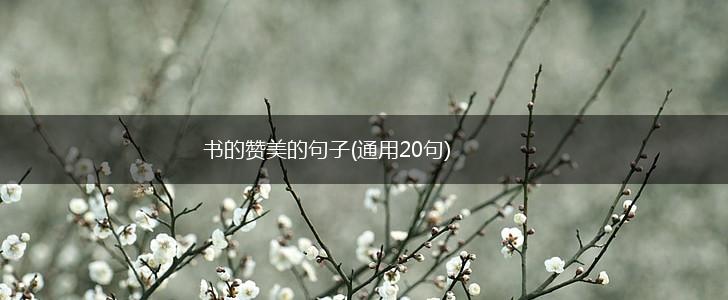 书的赞美的句子(通用20句),第1张