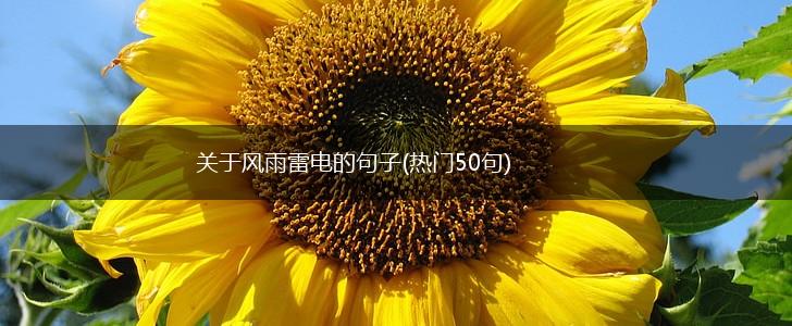 关于风雨雷电的句子(热门50句),第1张