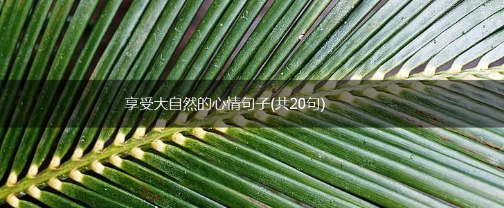 享受大自然的心情句子(共20句),第1张